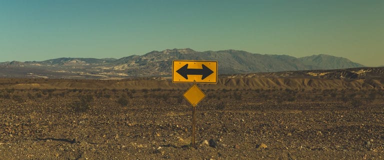 You Pick WordPress or Drupal
