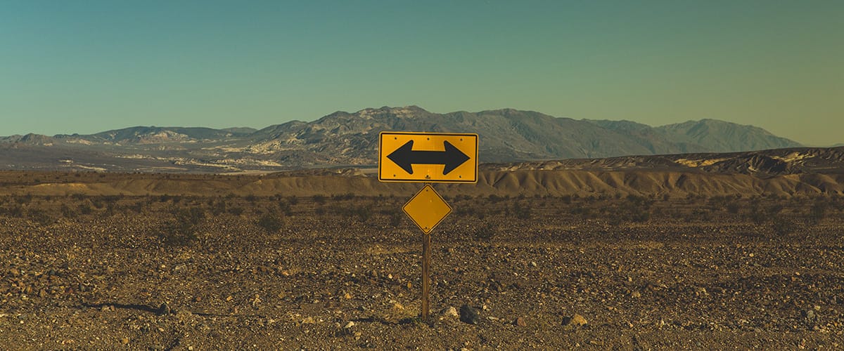 You Pick WordPress or Drupal